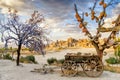 Goreme, Turkey - September 23, 2015: Tree Of Wishes with clay pots in Cappadocia. Nevsehir Province, Cappadocia, Turkey Royalty Free Stock Photo