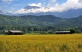 Gorenjska landscape, Slovenia