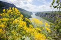 Gorge on the Danube river Beautiful view Nature landscape Royalty Free Stock Photo