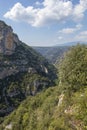 Canyon Gorges de la Nesque, gray cliffs with green forest in summer sunny day in Provence, South France