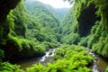 Gorge in Foret de Bebour, Reunion, France.