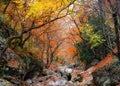 Gorge of the Grand Canyon of Crimea