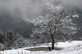 Gorge of Iskar river, near Svoge , Bulgaria - winter picture