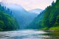 The gorge of mountain river in the morning Royalty Free Stock Photo