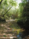 Gorge near Iokido Cave