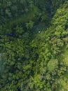 A gorge overgrown with dense trees with a river flowing at the bottom Royalty Free Stock Photo