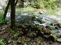 Gorge Rakov Skocjan Valley Rakek or Notranjski regijski park Rakov Skocjan, Notranjska Regional landscape park Rakov Skocjan