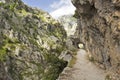 Gorge of River Cares in Asturias