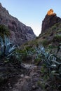 Trail in the gorge Maska, Tenerife Spain