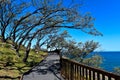 Gorge Walk track on North Stradbroke Island, Australia Royalty Free Stock Photo