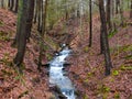 Gorge waterfall created from heavy winter runoff by Owasco Lake NYS series 4