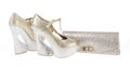 Gorgeos gold glitter shoes and clutch bag Royalty Free Stock Photo