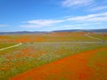 Gorgeous aerial view of the orange and purple wildflowers at the Antelope Valley Poppy fields