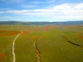 Gorgeous aerial view of the orange and purple wildflowers at the Antelope Valley Poppy fields