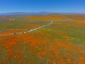 Gorgeous aerial view of the orange and purple wildflowers at the Antelope Valley Poppy fields