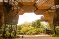 Gorgeous architectural woodden structure in a botanical greenhouse in Medellin