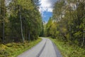 Gorgeous autumn landscape with car road in forest.