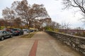 A gorgeous autumn landscape in the city along a sidewalk with autumn colored trees and parked cars along the street