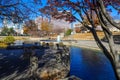 A gorgeous autumn landscape in the park with a still green lake and a water fountain in the center of the lake