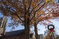 A gorgeous autumn landscape with tall oranges trees surrounded by a church and light posts with green Christmas reefs Royalty Free Stock Photo