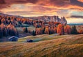 Gorgeous autumn view of Alpe di Siusi with beautiful yellow larch trees and Schlern Sciliar mountain on background. Colorful mor