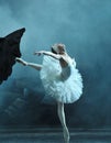Gorgeous Ballet Dancer in Swan Lake Royalty Free Stock Photo