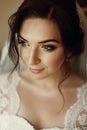 Gorgeous beautiful bride portrait in morning near window soft light. posing looking charming. wedding preparation. luxury make up Royalty Free Stock Photo