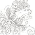 Gorgeous bird coloring page