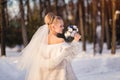 Gorgeous blonde bride in wedding dress with bouquet of blue roses with cotton in winter park Royalty Free Stock Photo