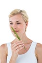 Gorgeous blonde woman smelling branch of herb Royalty Free Stock Photo