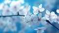 Gorgeous Blue Skyline of Nature Magnificent Spring Flowers in Macro Royalty Free Stock Photo