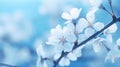 Gorgeous Blue Skyline of Nature.Magnificent Spring Flowers in Macro Royalty Free Stock Photo
