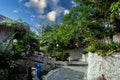 A gorgeous bougainvillea in front of Rock Water Bay Resort in Mui Ne beach, PhanThiet, Vietnam Royalty Free Stock Photo