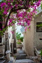 A gorgeous bougainvillea in front of Rock Water Bay Resort in Mui Ne beach, PhanThiet, Vietnam Royalty Free Stock Photo