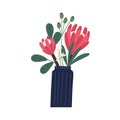 Gorgeous bouquet with protea and decorative branches in vase vector flat illustration. Beautiful blooming flowers