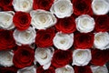 Gorgeous bouquet of red and white roses background