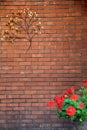 Gorgeous brick wall with decorative metal tree and flower pot Royalty Free Stock Photo