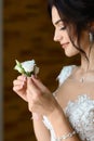 Gorgeous bride with boutonniere, posing near window. amazing portrait of beautiful woman getting ready for wedding in white dress, Royalty Free Stock Photo