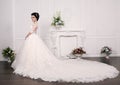 Gorgeous bride with dark hair in luxuious wedding dress Royalty Free Stock Photo