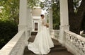 Gorgeous bride with dark hair wears elegant wedding dress Royalty Free Stock Photo