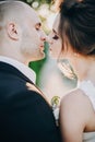 Gorgeous bride and groom gently kissing in sunset light. Portraits of beautiful tender wedding couple embracing in warm sunshine Royalty Free Stock Photo