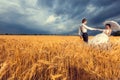 Gorgeous bride and groom in wheat field with blue sky in the bac Royalty Free Stock Photo