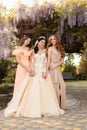 Gorgeous bride in luxurious wedding dress, posing with beautiful bridesmaids in elegant dresses Royalty Free Stock Photo