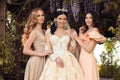 Gorgeous bride in luxurious wedding dress, posing with beautiful bridesmaids in elegant dresses Royalty Free Stock Photo