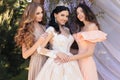 Gorgeous bride in luxurious wedding dress, posing with beautiful bridesmaids in elegant dresses Royalty Free Stock Photo