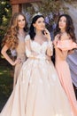 Gorgeous bride in luxurious wedding dress, posing with beautiful bridesmaids in elegant dresses Royalty Free Stock Photo