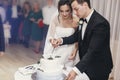 Gorgeous bride and stylish groom cutting their stylish wedding cake with flower decoration at wedding reception in restaurant. Royalty Free Stock Photo
