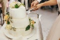 Gorgeous bride and stylish groom cutting together white wedding Royalty Free Stock Photo