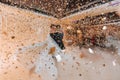 Gorgeous bride and stylish groom dancing under golden confetti at wedding reception. Royalty Free Stock Photo