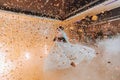 Gorgeous bride and stylish groom dancing under golden confetti at wedding reception. Royalty Free Stock Photo